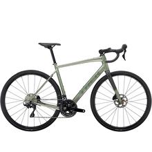 Domane AL 5 Gen 4 by Trek in Loveland CO